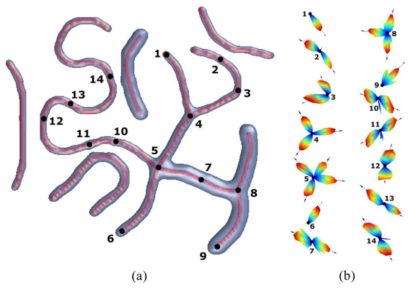 Fig. 6