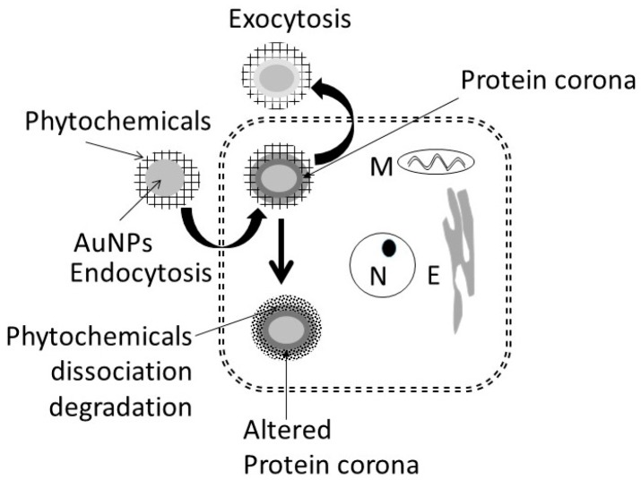 Figure 17