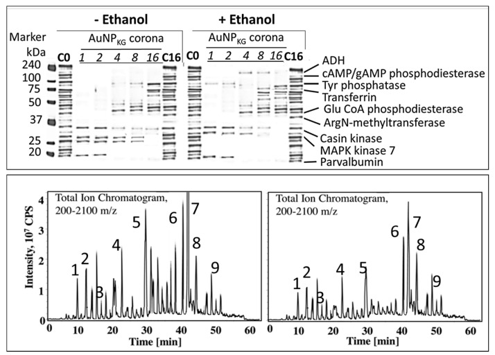 Figure 15