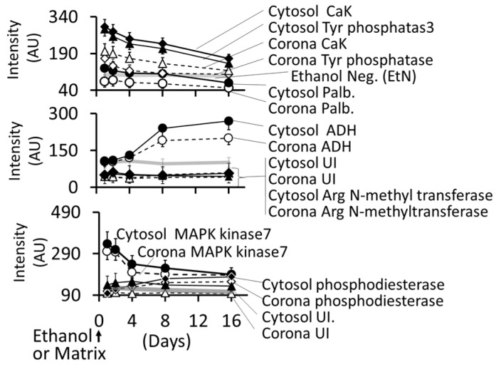 Figure 16