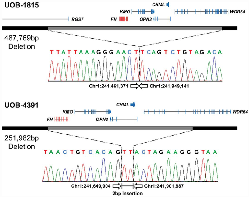 FIGURE 3