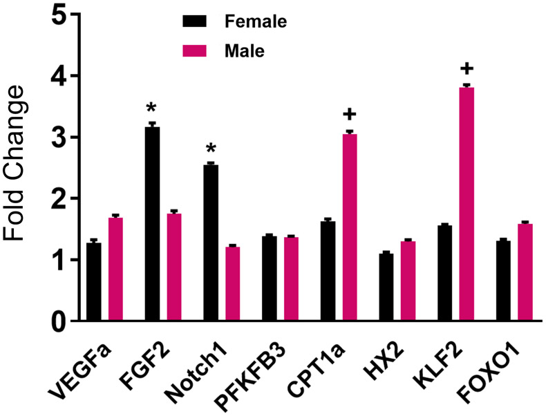 Figure 5.