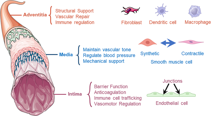 Figure 2