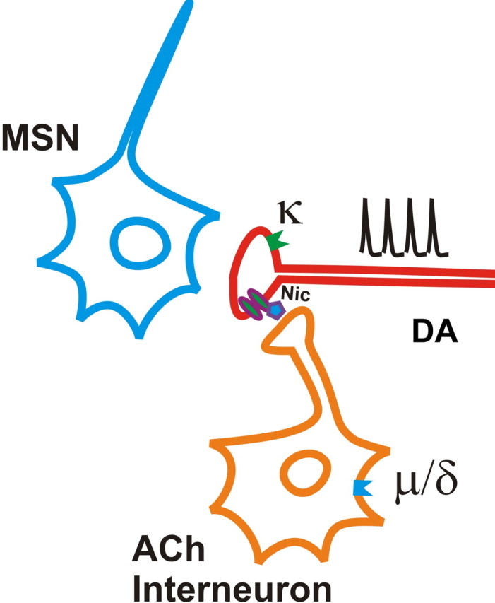 Figure 7.