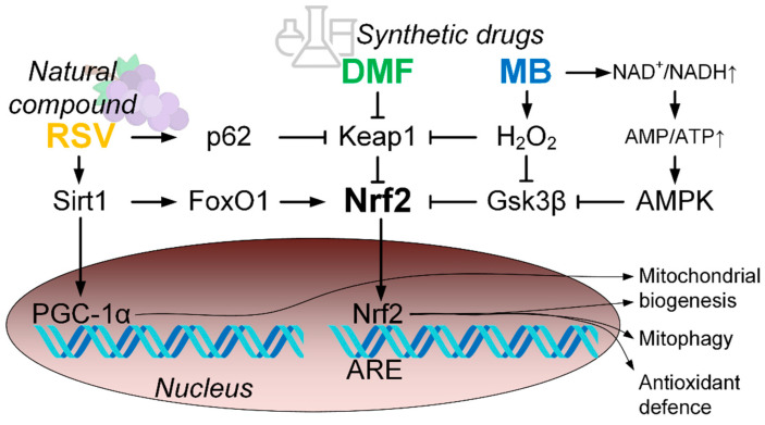 Figure 9