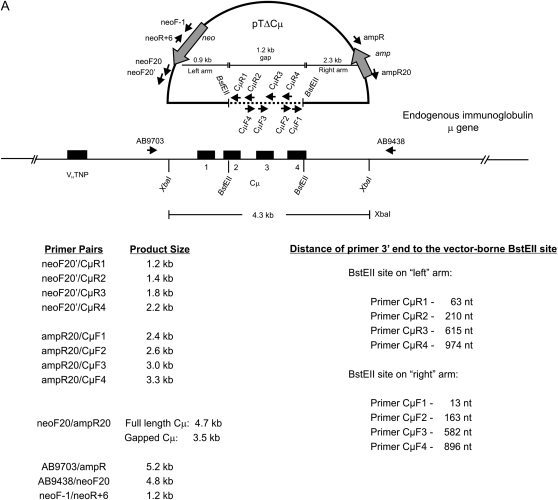 Figure 1.—