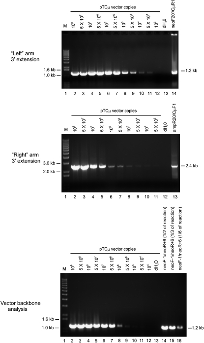 Figure 4.—