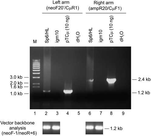 Figure 7.—