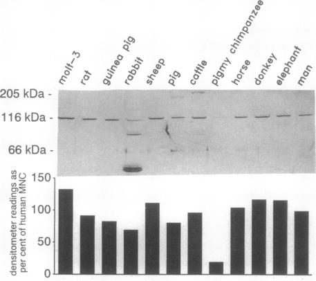 graphic file with name pnas01098-0123-a.jpg