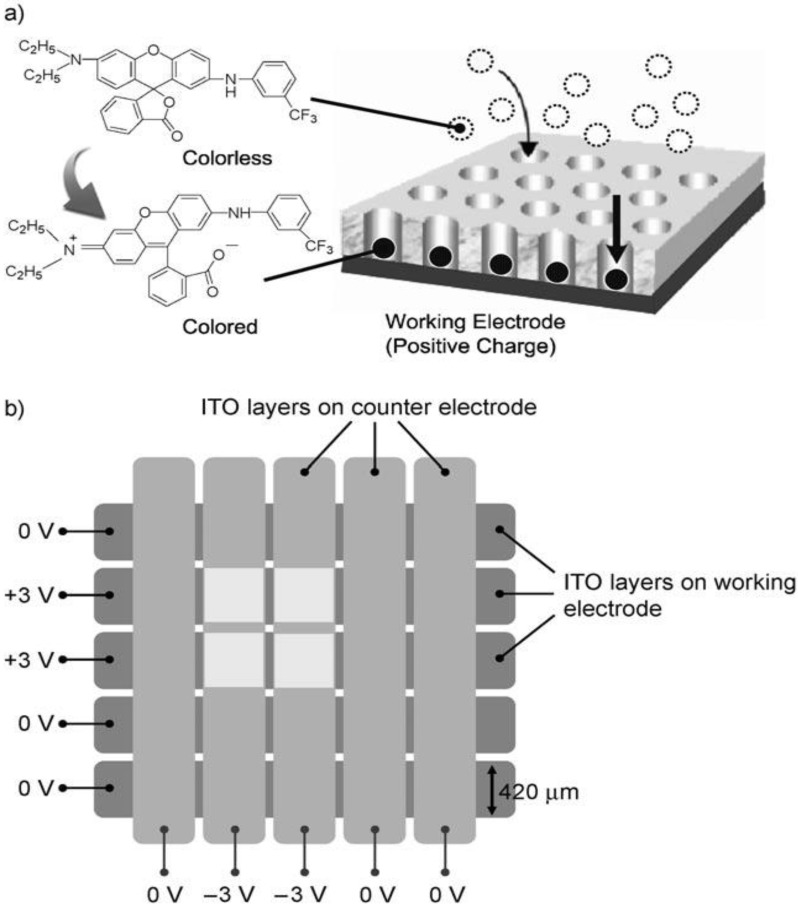 Figure 20