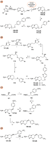 SCHEME 16