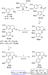 SCHEME 5