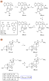 SCHEME 4