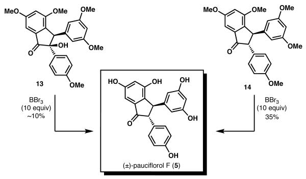 Scheme 6