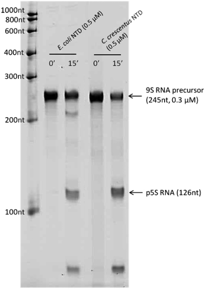 Figure 5.