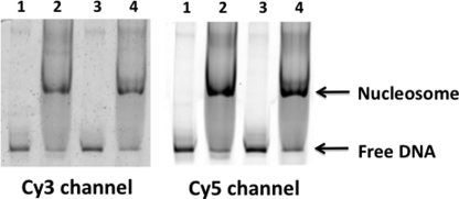 FIGURE 3.