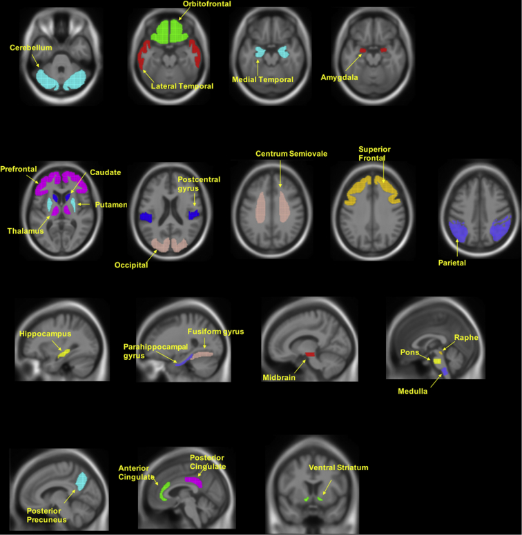 Supplementary Fig. 2