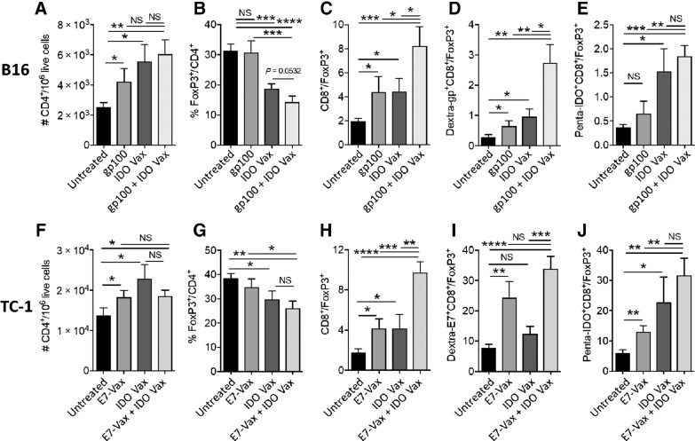 Figure 5. IDO vaccine reduces frequency of Tregs and enhances therapeutic ratio in the TME. C57BL/6J mice were treated as in Fig. 1A and Fig. 2A, except 3 days after second vaccination, mice were sacrificed, and tumors were harvested for immune response study. The frequency of B16F10 tumor-infiltrating CD4+ (A), FoxP3+CD4+ (B), CD8+/Tregs (C), Dextra-gp100+ CD8+/Tregs (D), and Penta-IDO+CD8+/Tregs (E) was determined by flow cytometry. The frequency of TC-1 tumor-infiltrating CD4+ (F), FoxP3+CD4+ (G), CD8+/Tregs (H), Dextra-gp100+ CD8+/Tregs (I), and Penta-IDO+CD8+/Tregs (J) were also measured by flow cytometry. Data are shown as an average of two independent experiments (n = 8–13 per group). Error bars indicate the SEM. Statistical analysis was performed by unpaired, one-tailed Student t test. NS, nonsignificant; *, P ≤ 0.05; **, P ≤ 0.01; ***, P ≤ 0.001; ****, P ≤ 0.0001.