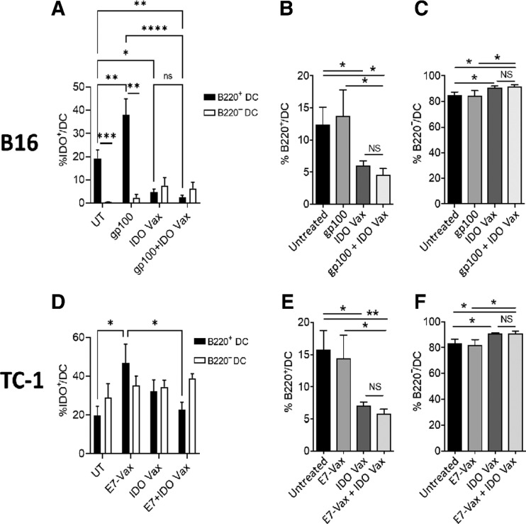 Figure 4. IDO vaccine modulates phenotypic characteristics of the myeloid population in the TME. Gating strategy in Supplementary Fig. S4. Phenotypic characteristics of myeloid populations were analyzed by flow cytometry in the B16F10 and TC-1 tumor models (see Fig. 1A and Fig. 2A, respectively, except 3 days after second vaccination, mice were sacrificed, and tumors were harvested for immune response evaluation. The frequency of B16F10 tumor-infiltrating IDO+B220+ DCs and IDO+B220− DCs (A), total B220+ DCs (B), B220− DCs (C) were determined. The frequency of TC-1 tumor-infiltrating IDO+B220+ DCs and IDO+B220− DCs (D), B220+ DCs (E), B220− DCs (F) were also assessed. Data are shown from one representative experiment (n = 4–7 per group) of two independent experiments. Error bars indicate the SEM. Statistical analysis was performed by unpaired, one-tailed Student t test. NS, nonsignificant; *, P ≤ 0.05; **, P ≤ 0.01.