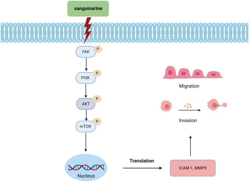 Figure 10.