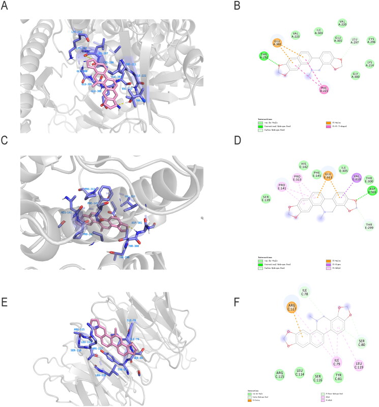 Figure 4.