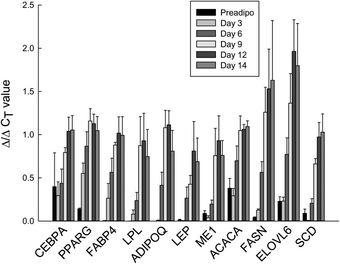 Fig. 3.