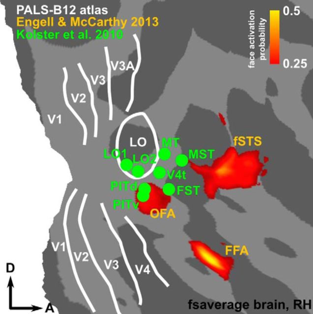 Figure 10.