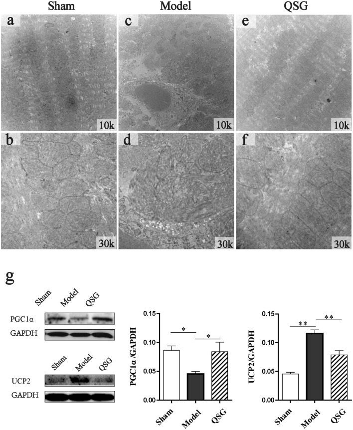 Fig. 9