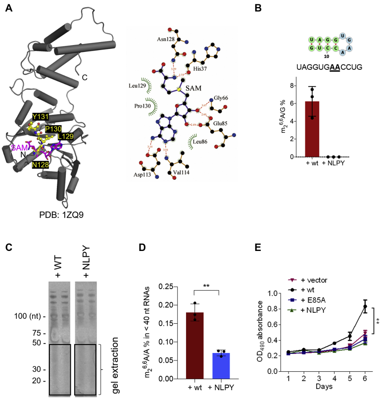 Figure 3