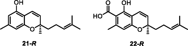 graphic file with name nihms-1979974-f0006.jpg