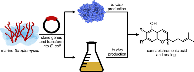 graphic file with name nihms-1979974-f0001.jpg