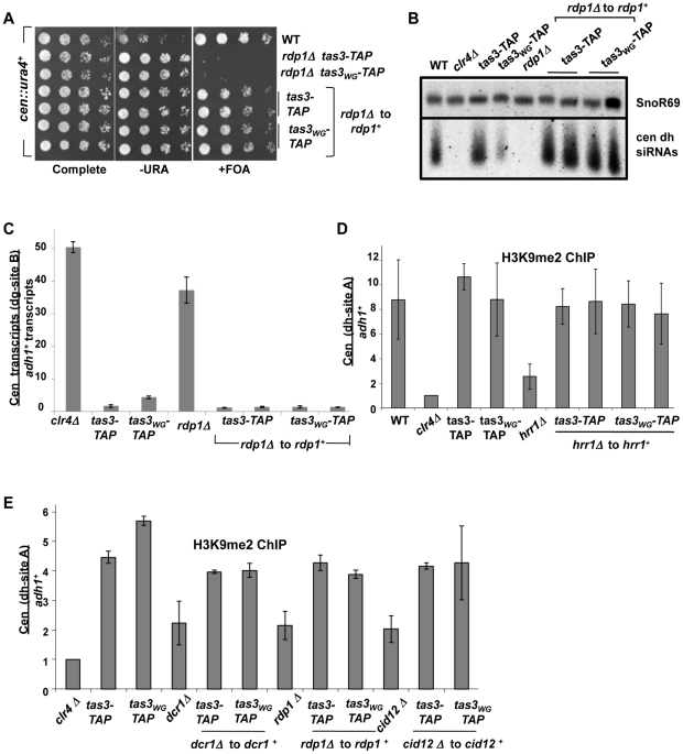 Figure 6