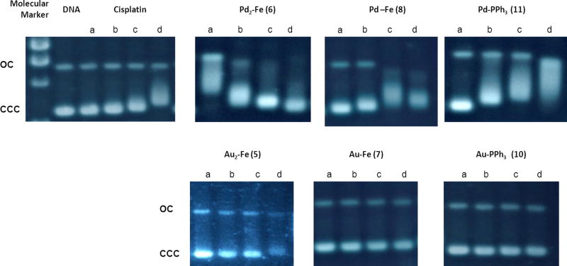 Fig. 4