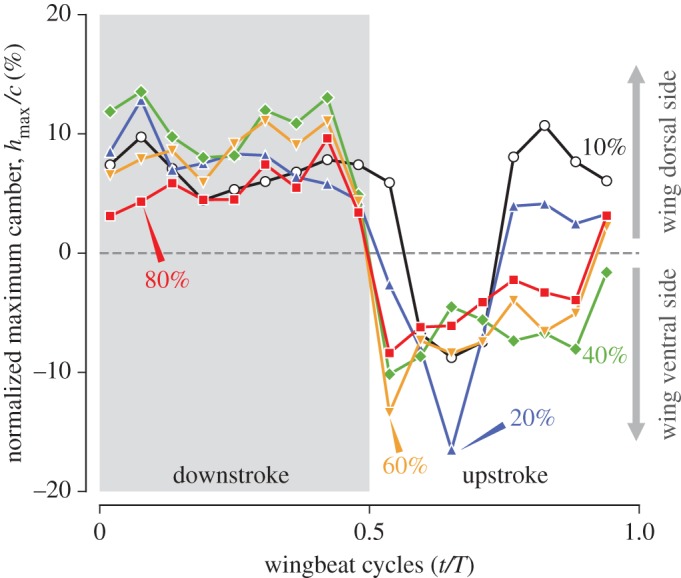 Figure 13.