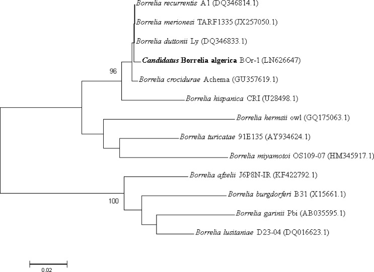 Figure 2.