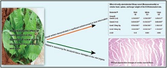 graphic file with name PR-9-200-g001.jpg