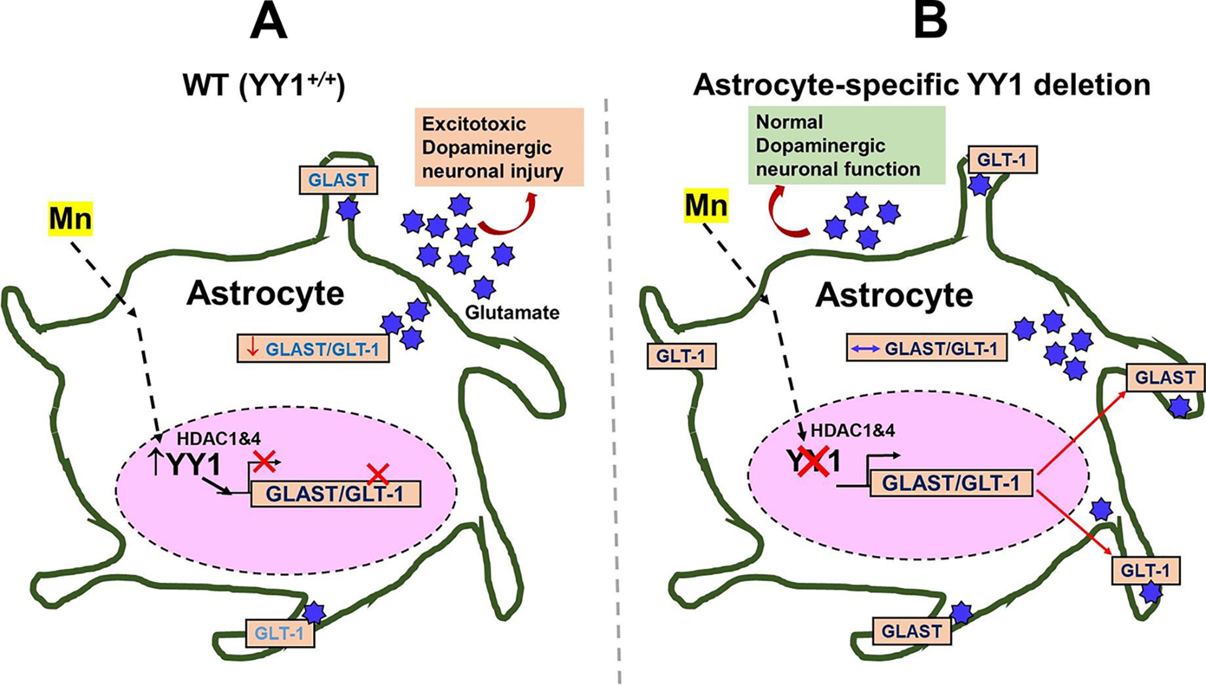 Figure 10.