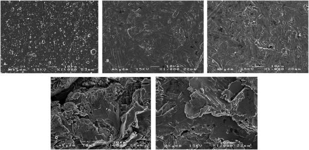 Fig. 1 A-E