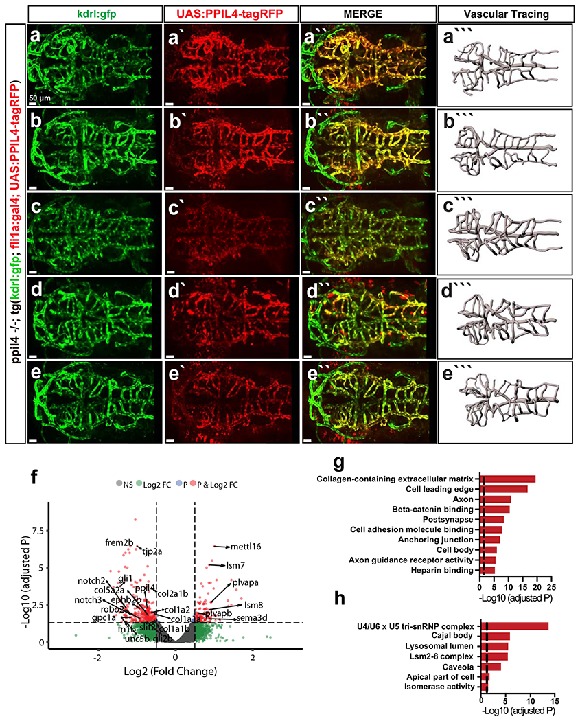 Extended Data Fig. 7 |