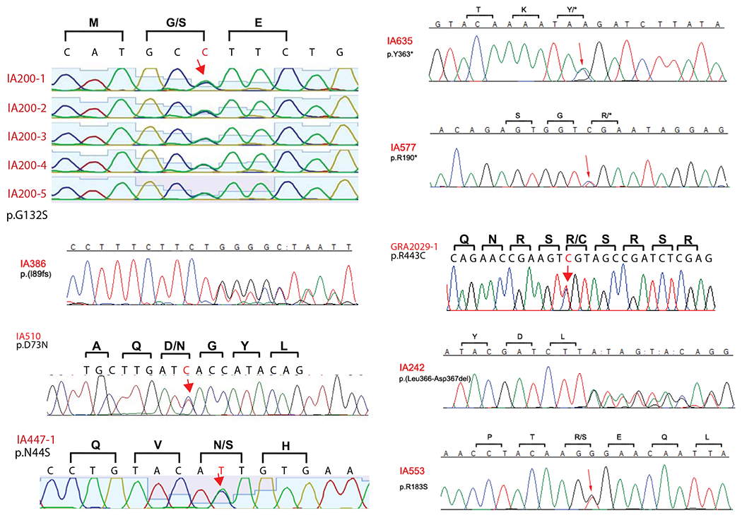 Extended Data Fig. 1 |