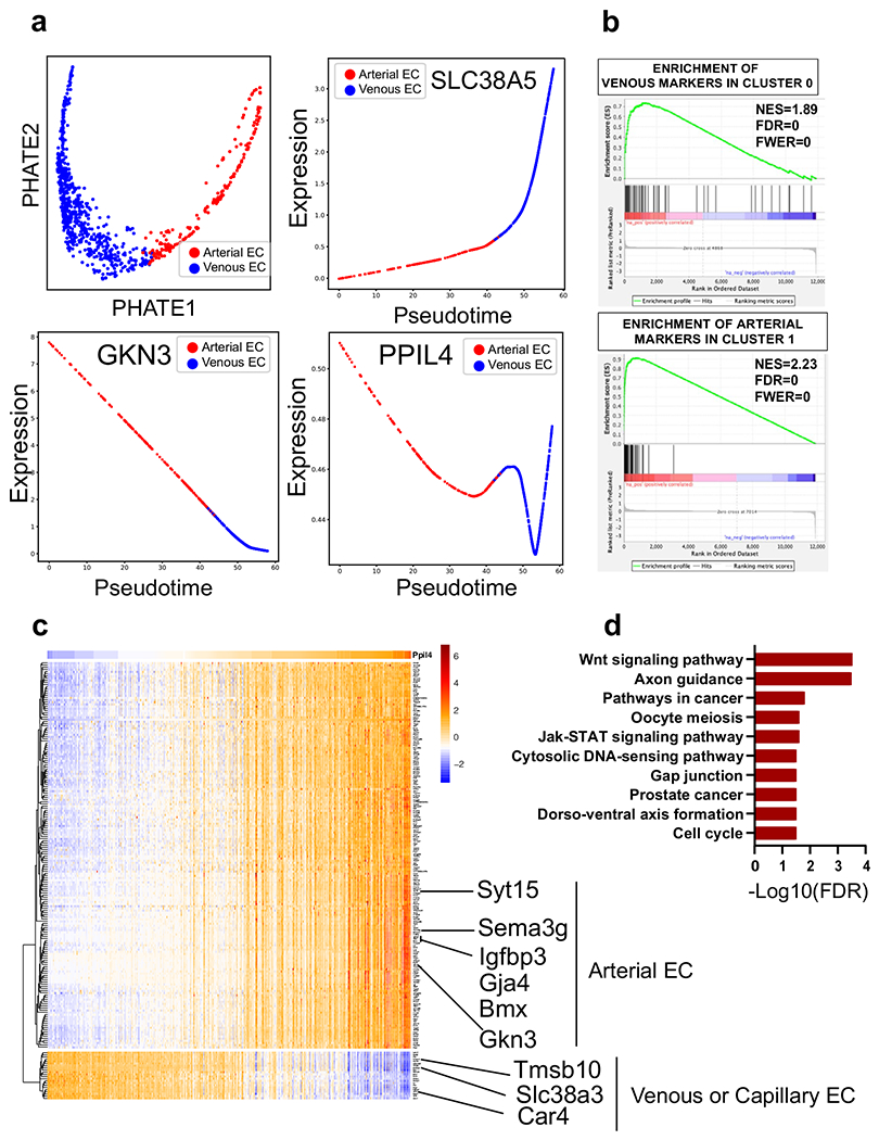 Extended Data Fig. 8 |