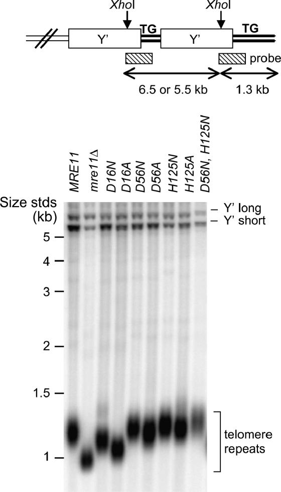 Figure 2.