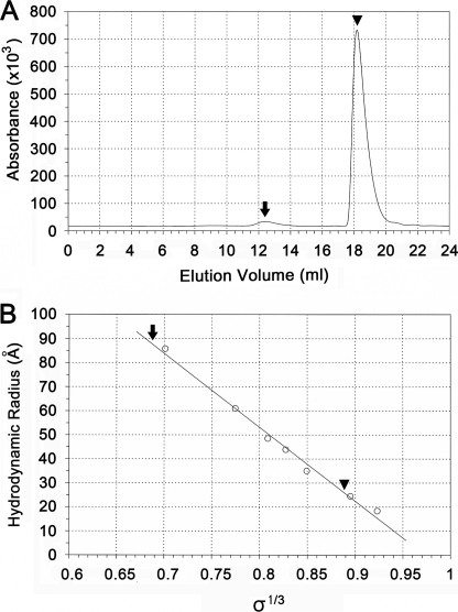 FIGURE 4.