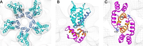 FIGURE 3.