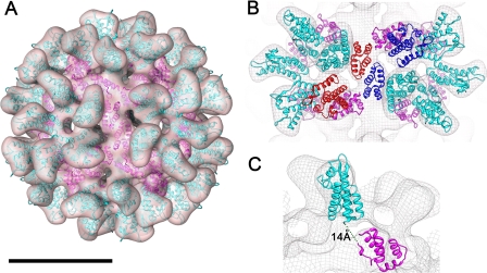 FIGURE 2.