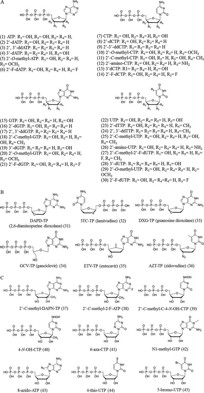 FIG 1