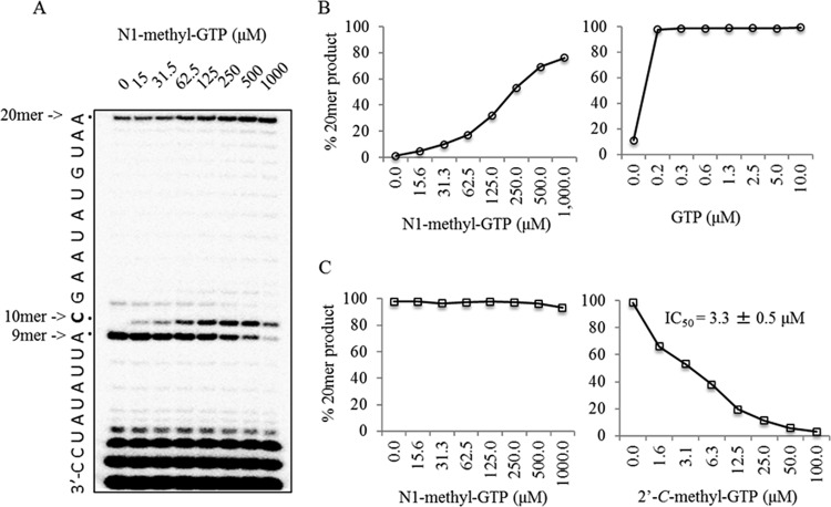 FIG 4