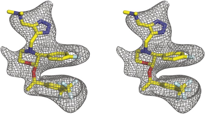 Fig. 2.