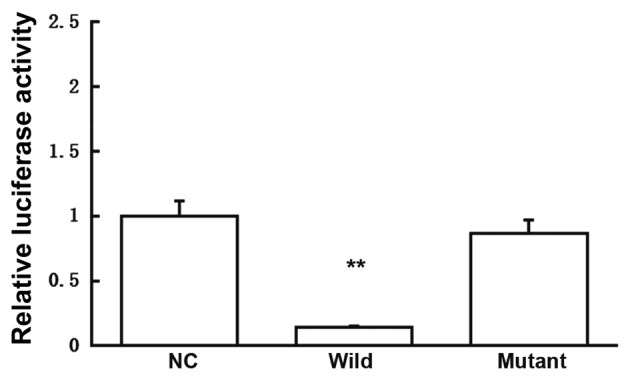 Figure 5.