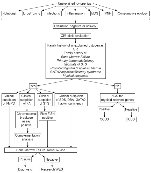 Figure 1: